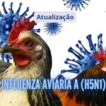 AVIÁRIA