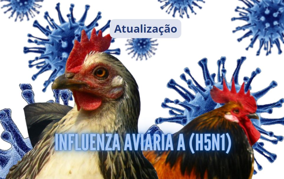 AVIÁRIA